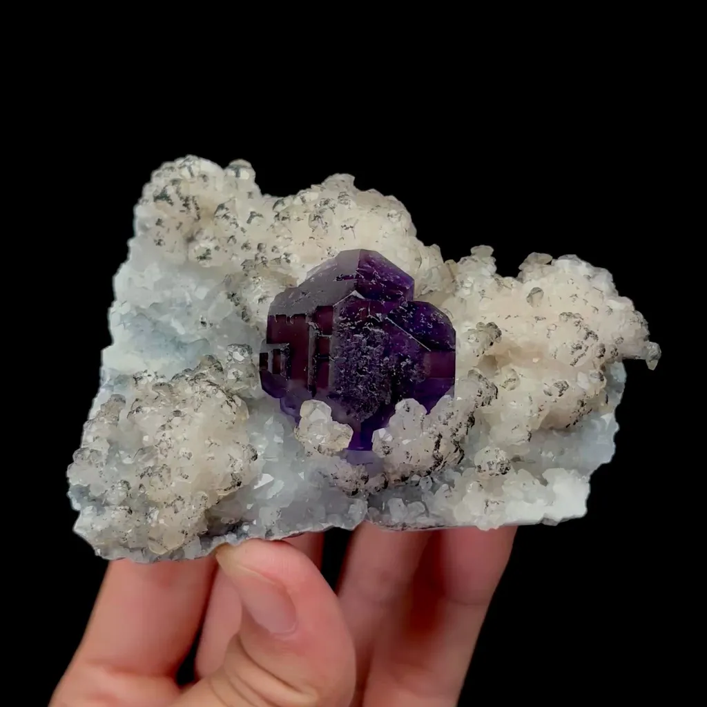 specimen video