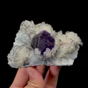 Natural Tanzanite Fluorite and Calcite Mineral Specimen,High Quality Specimen,QUANZHOU,FUJIAN,CHINA(94*69*43mm) - image 2