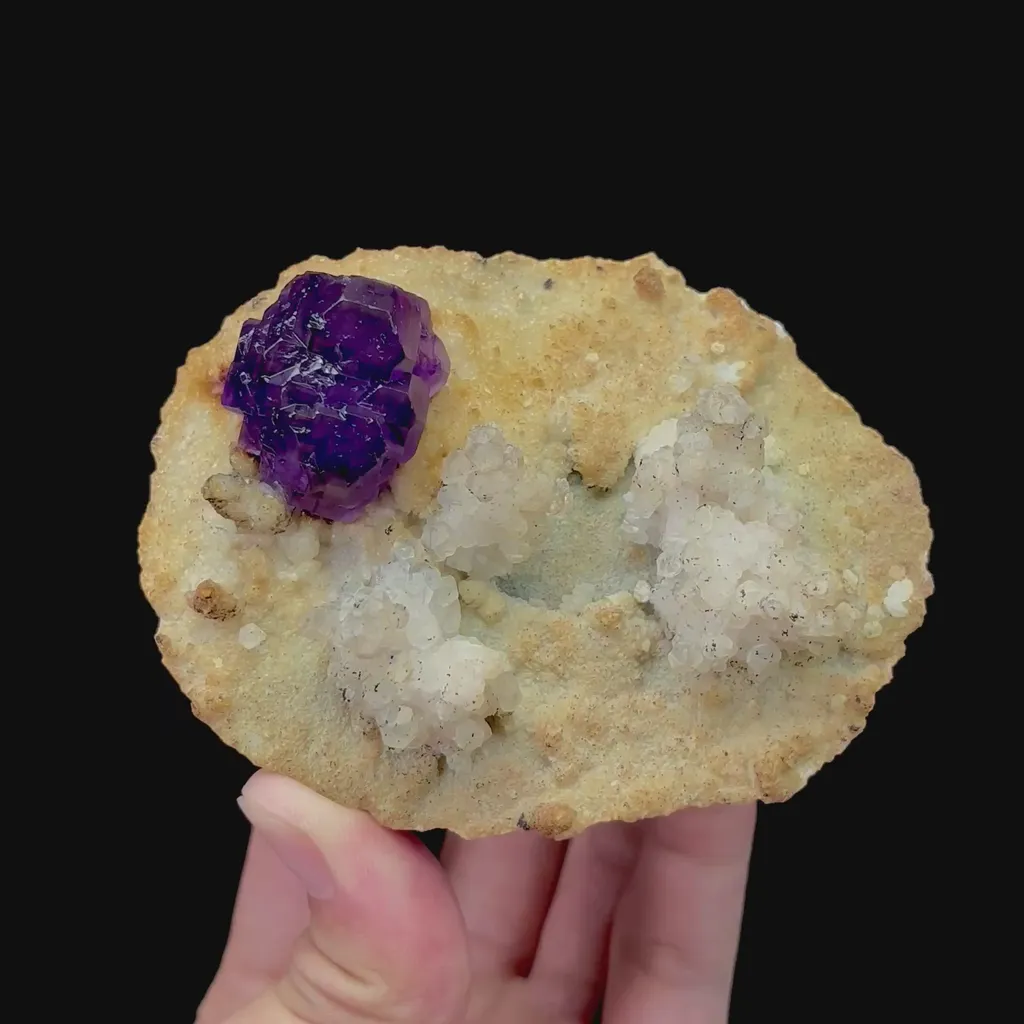 specimen video