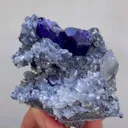 specimen video