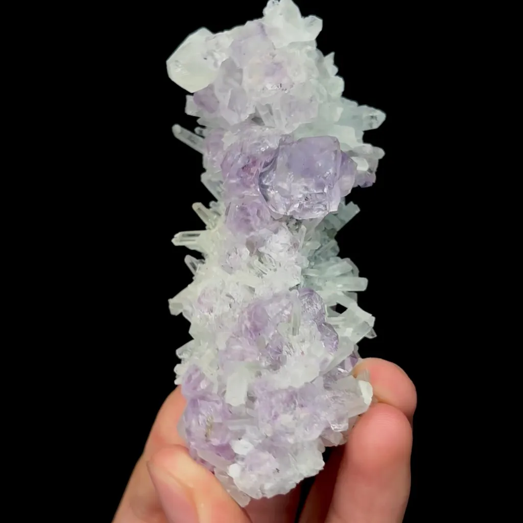 specimen video
