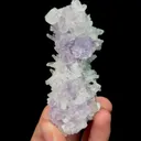 specimen video