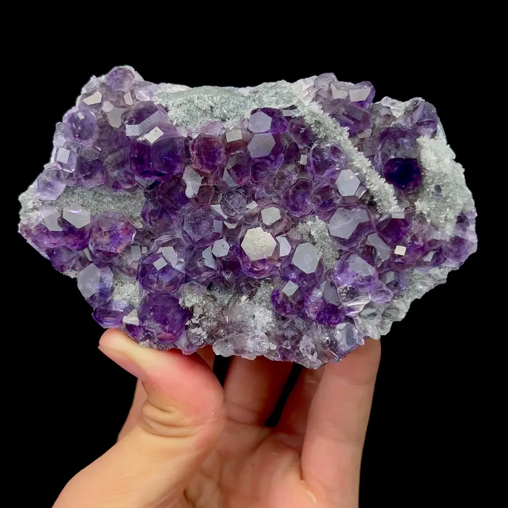 specimen video
