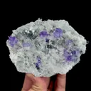 specimen video