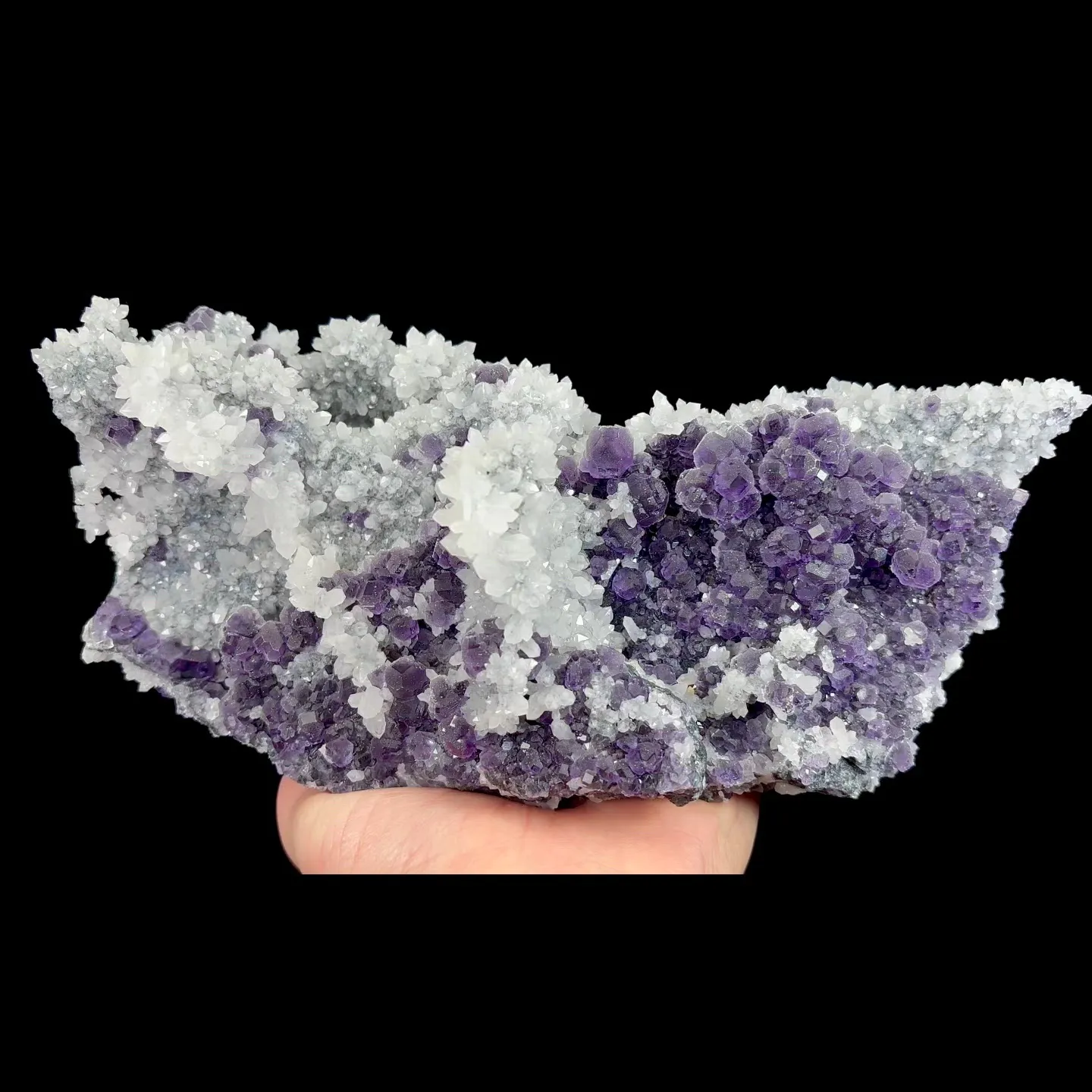 specimen video