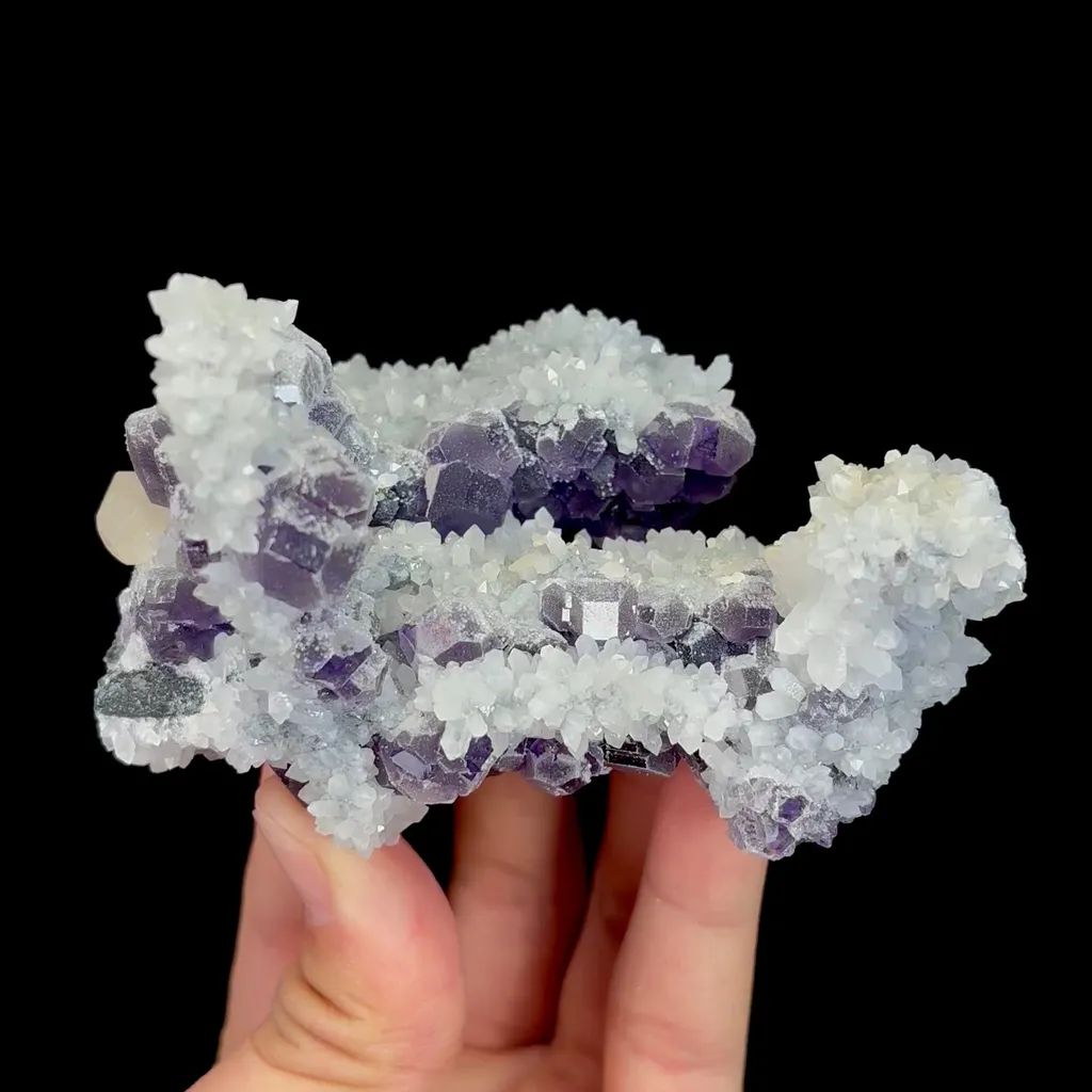 specimen video