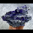 specimen video