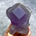 specimen video