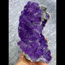 specimen video
