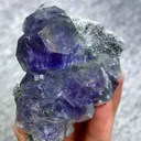specimen video