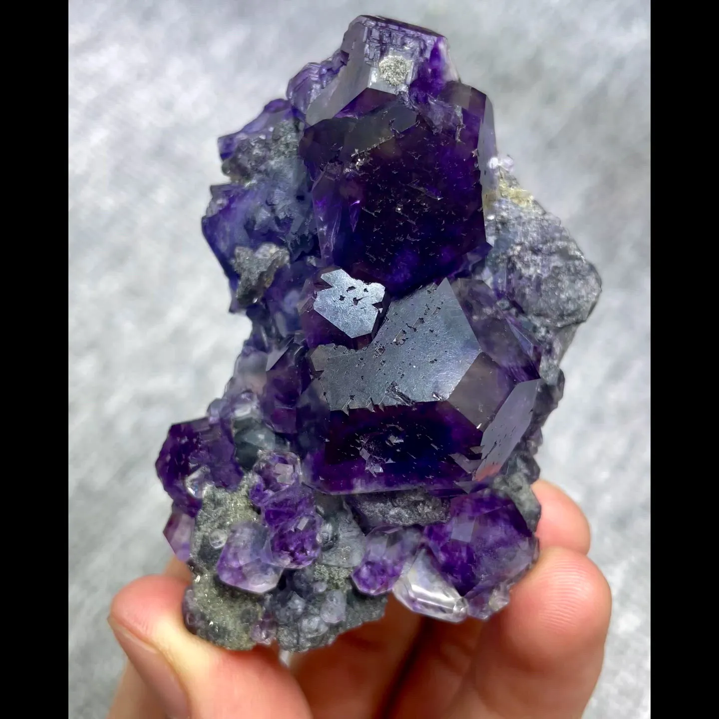 specimen video
