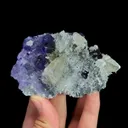 specimen video