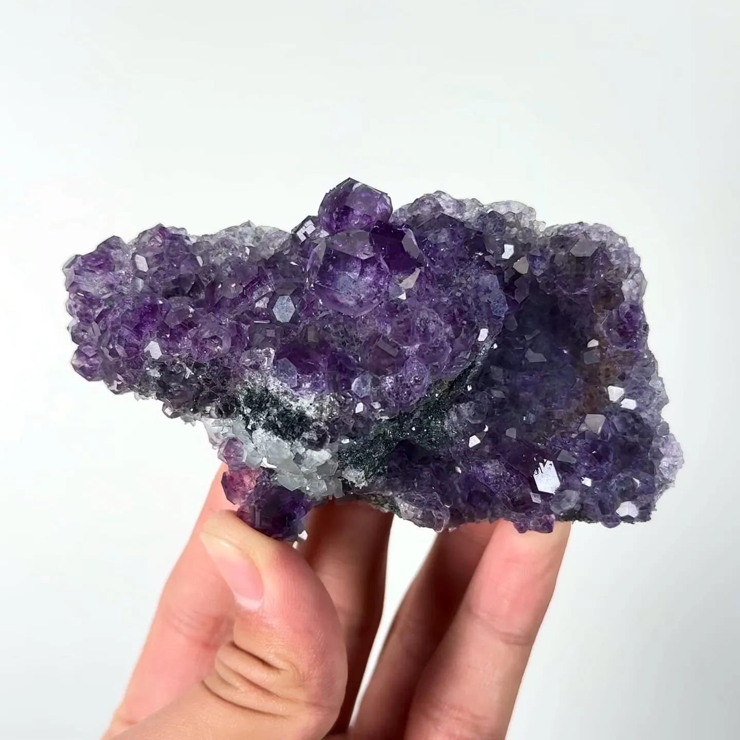specimen video