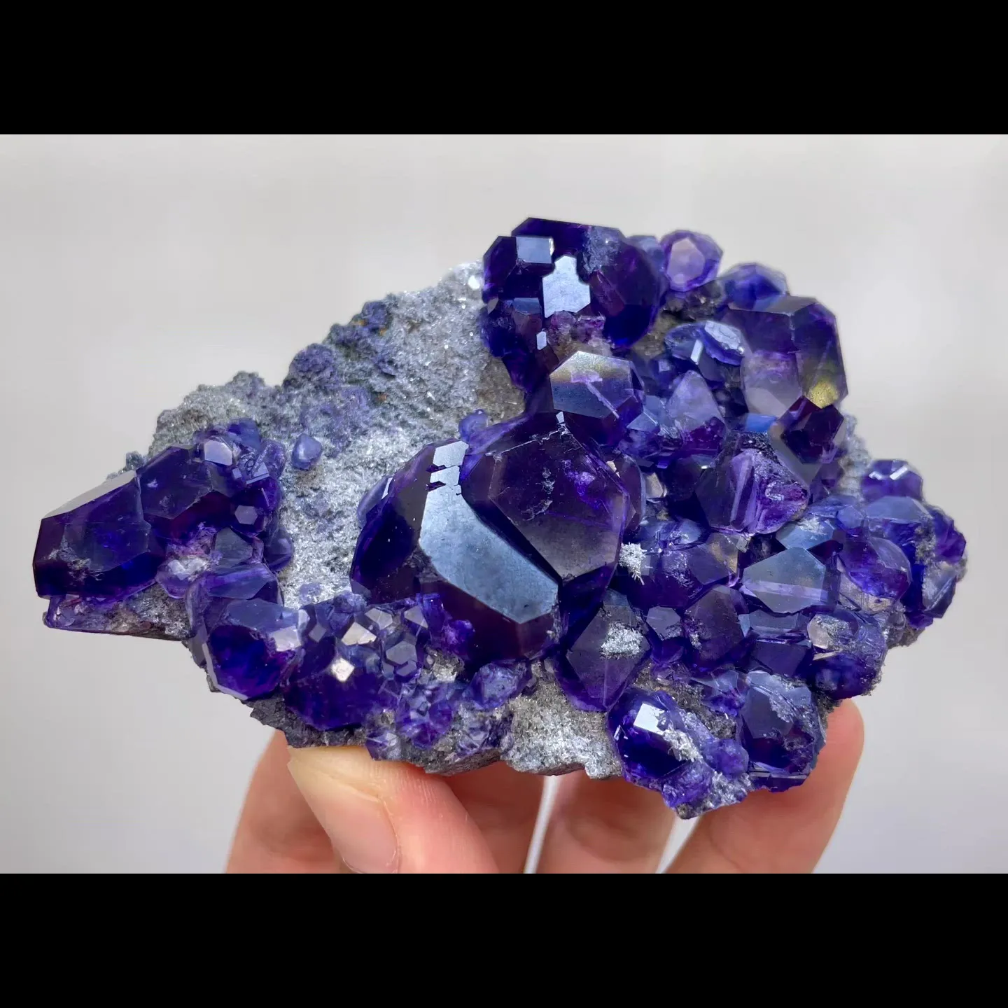 specimen video