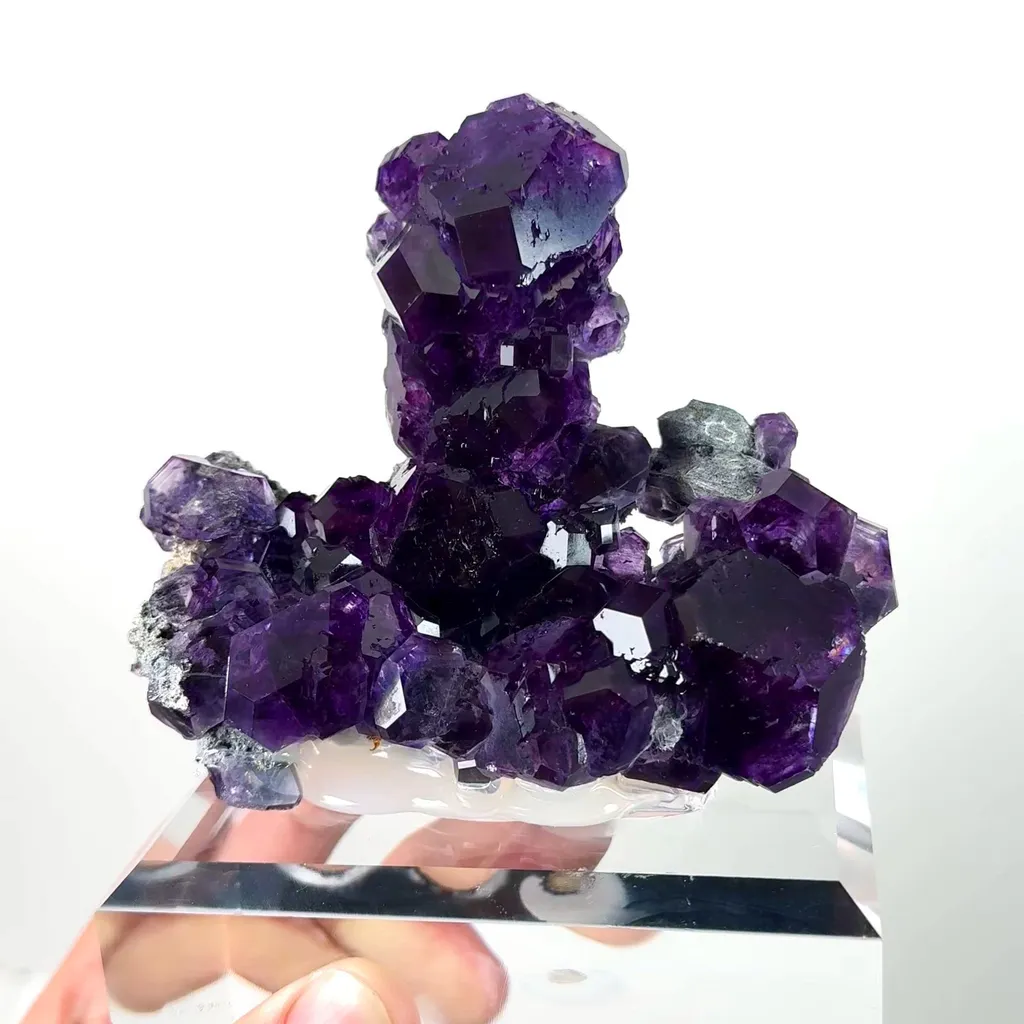 specimen video
