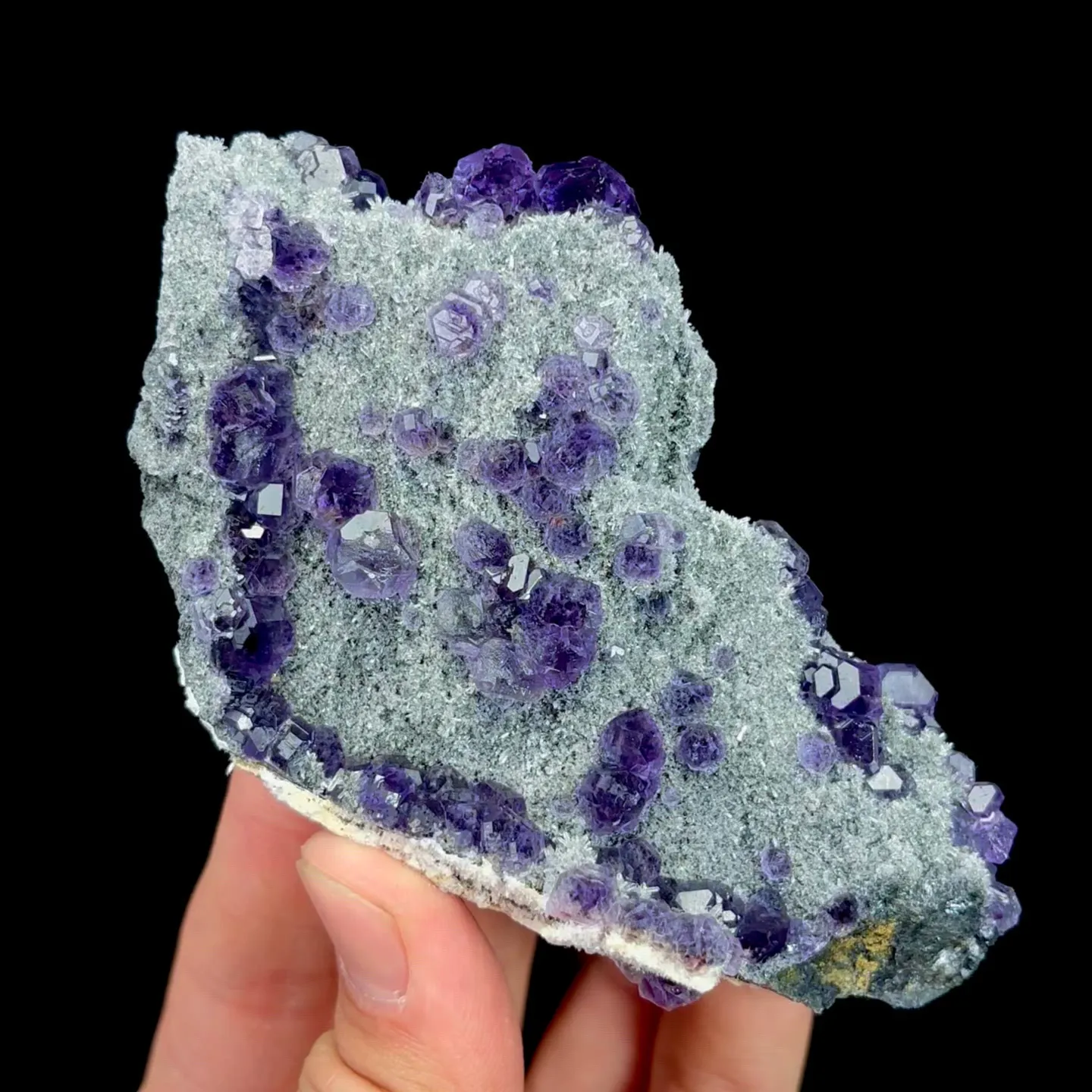specimen video