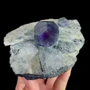 specimen video