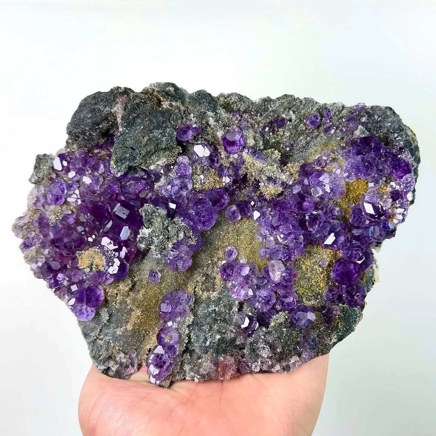 specimen video