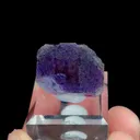 specimen video