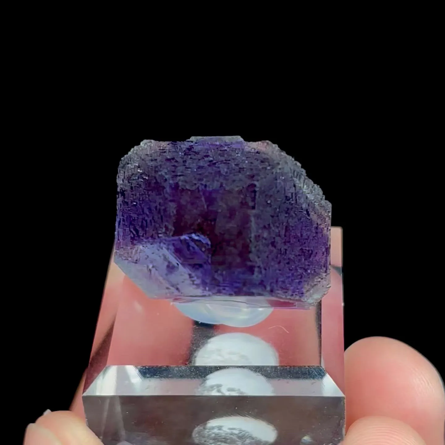 specimen video