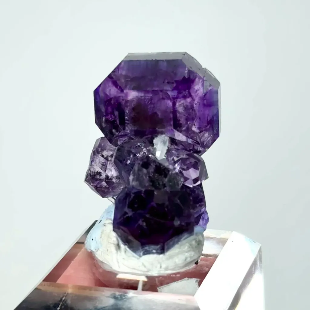 specimen video