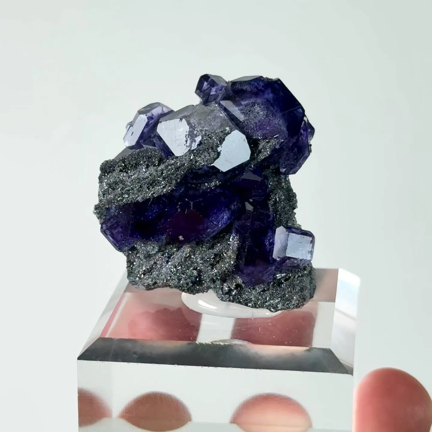 specimen video
