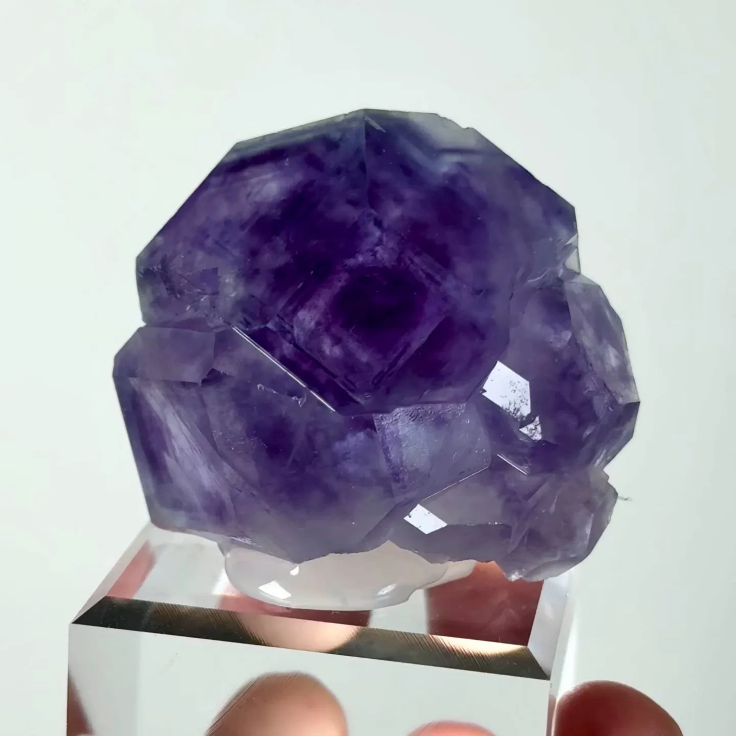 specimen video