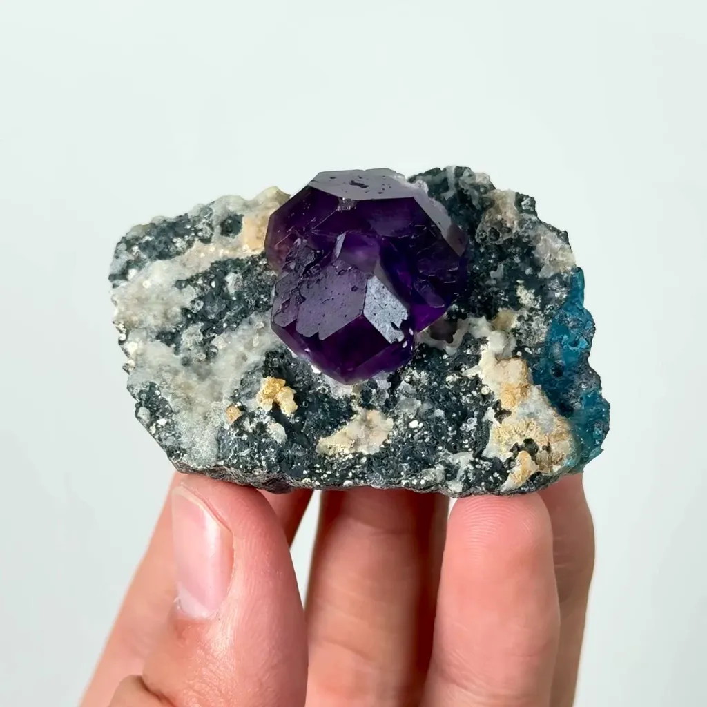 specimen video