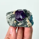 specimen video