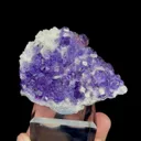 specimen video