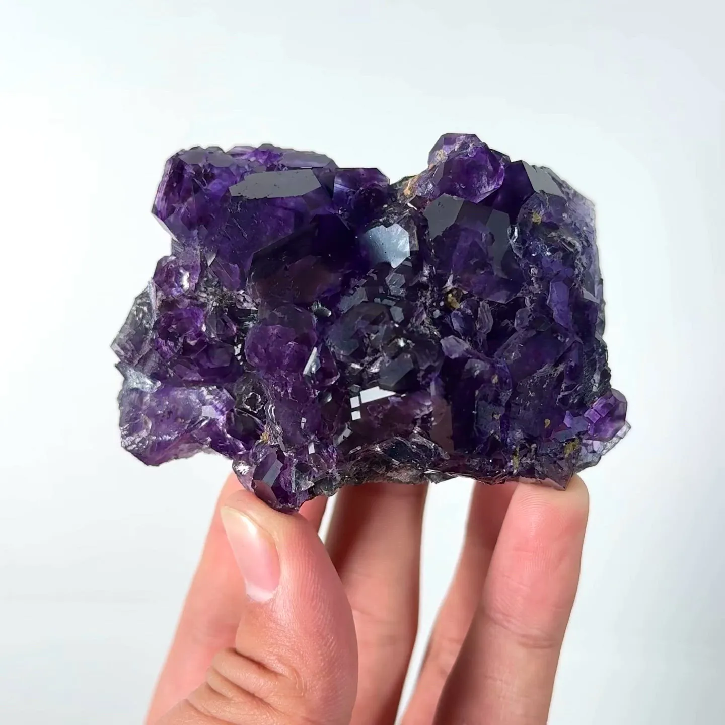 specimen video