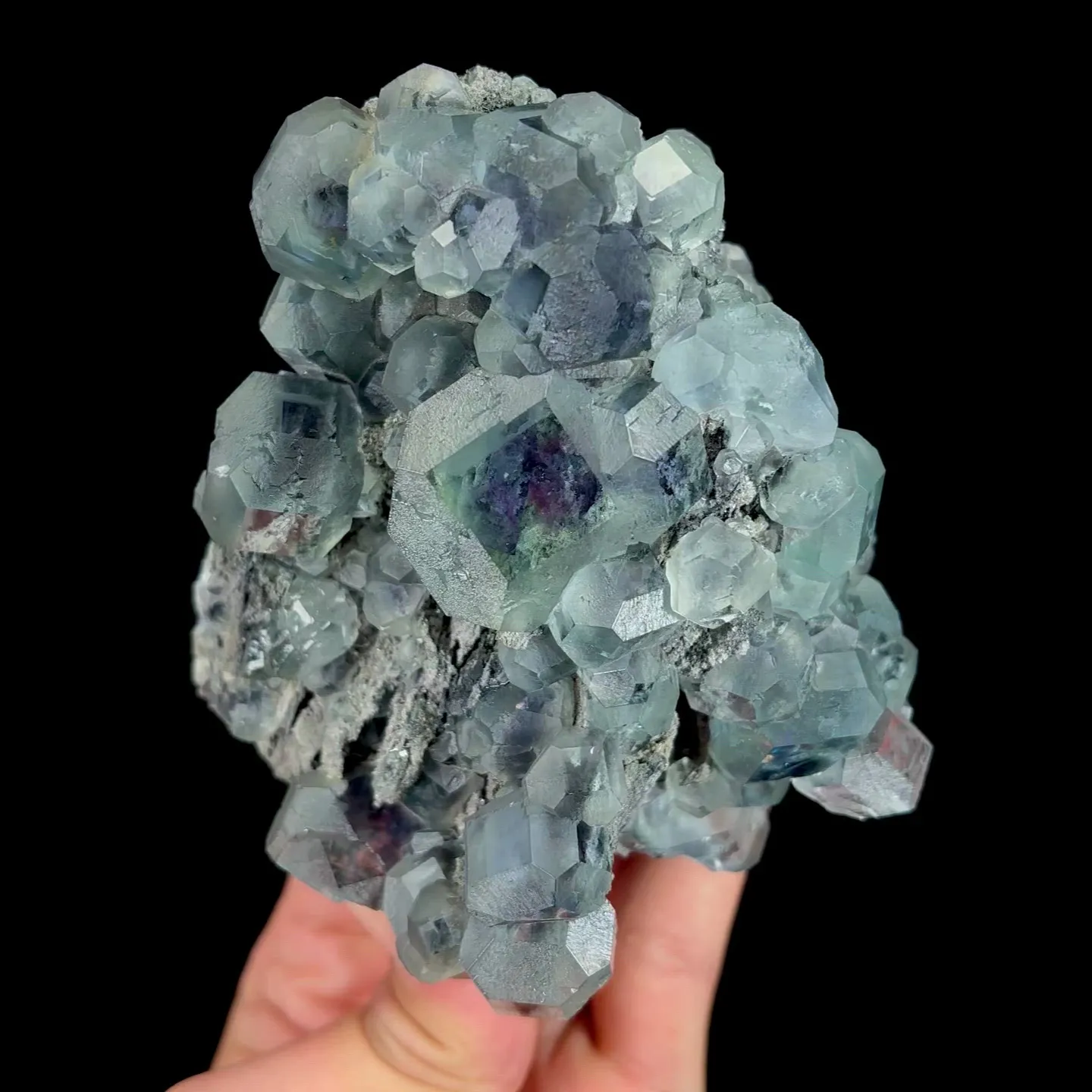 specimen video