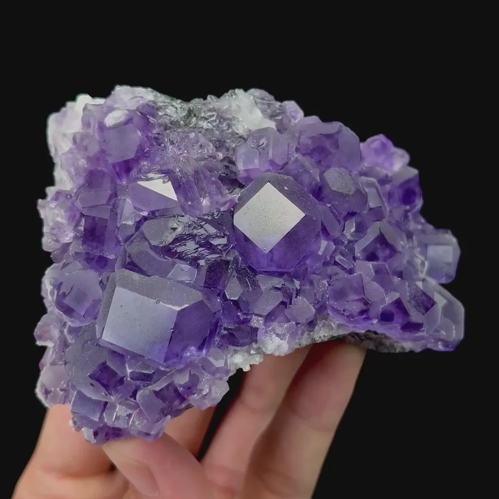 specimen video