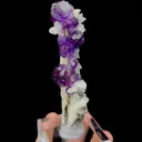 specimen video