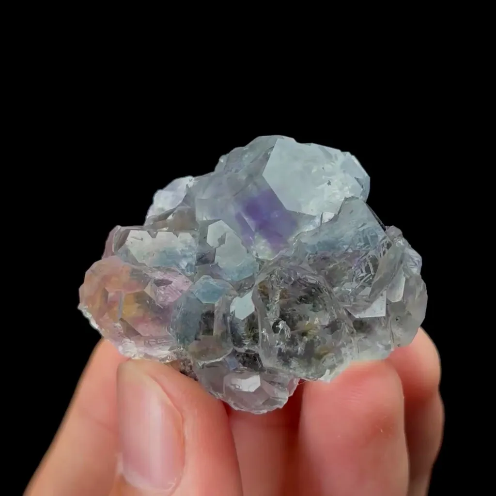 specimen video