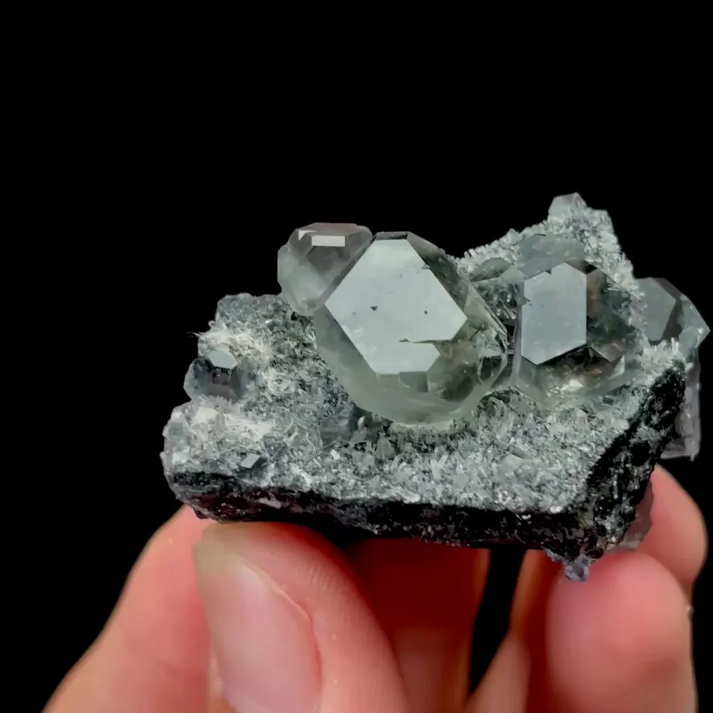 specimen video