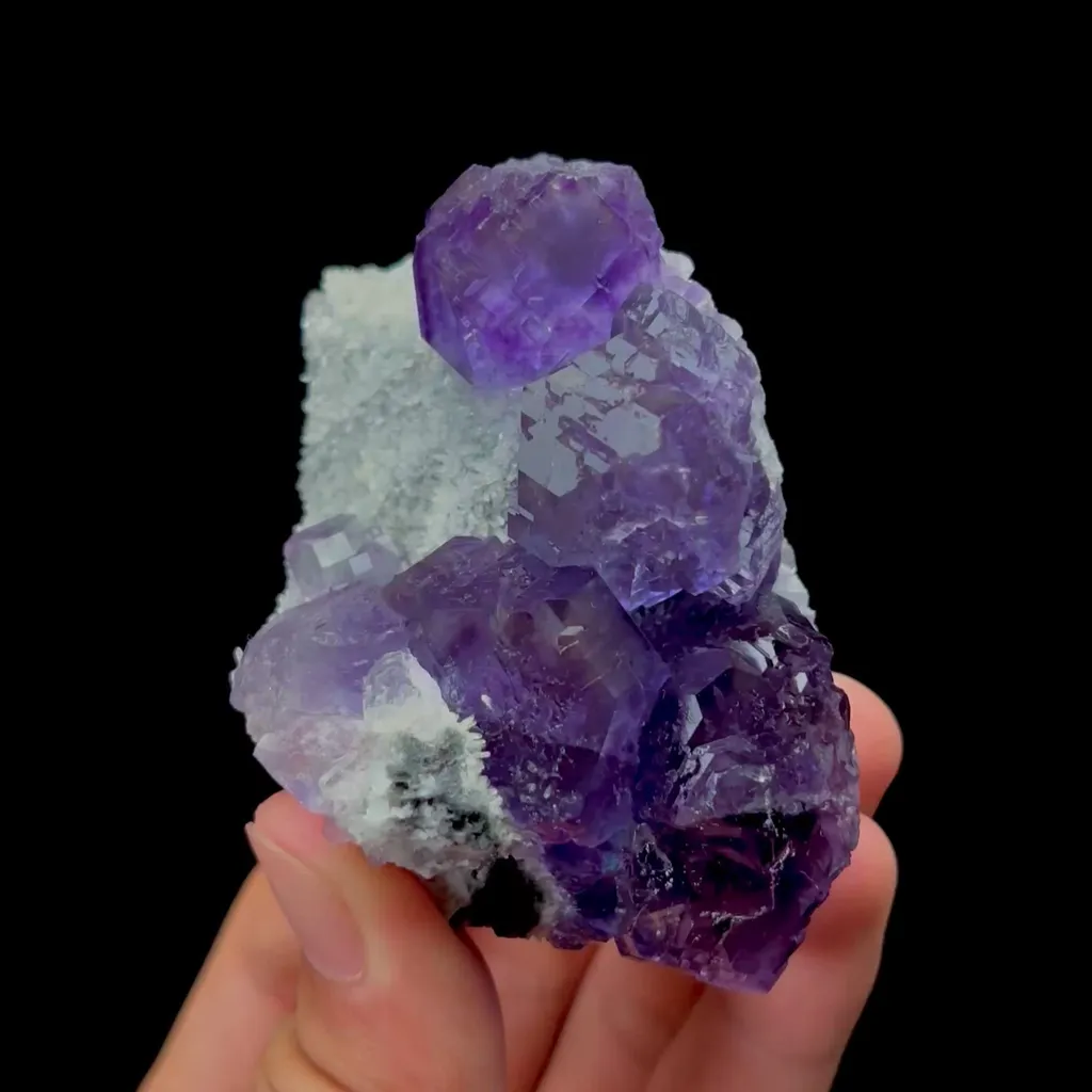 specimen video