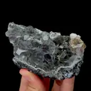 specimen video