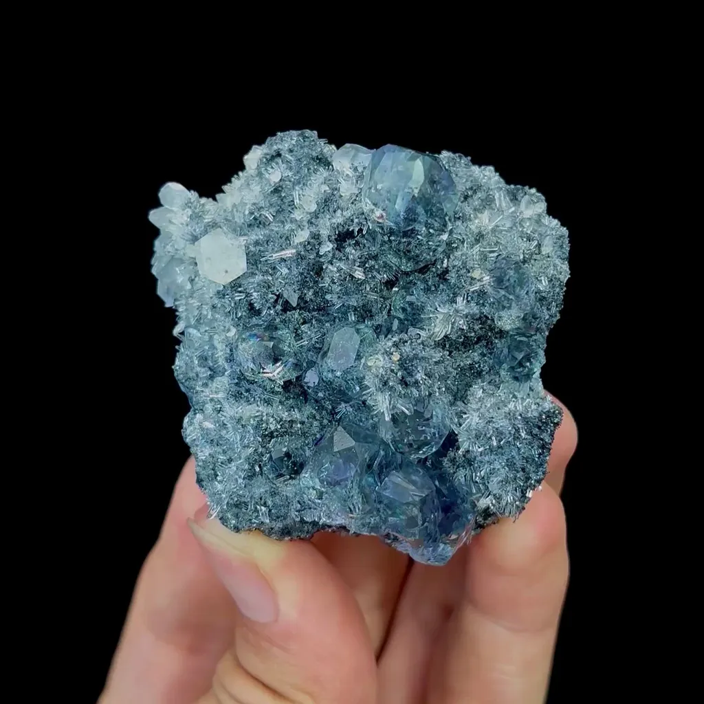 specimen video