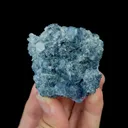 specimen video