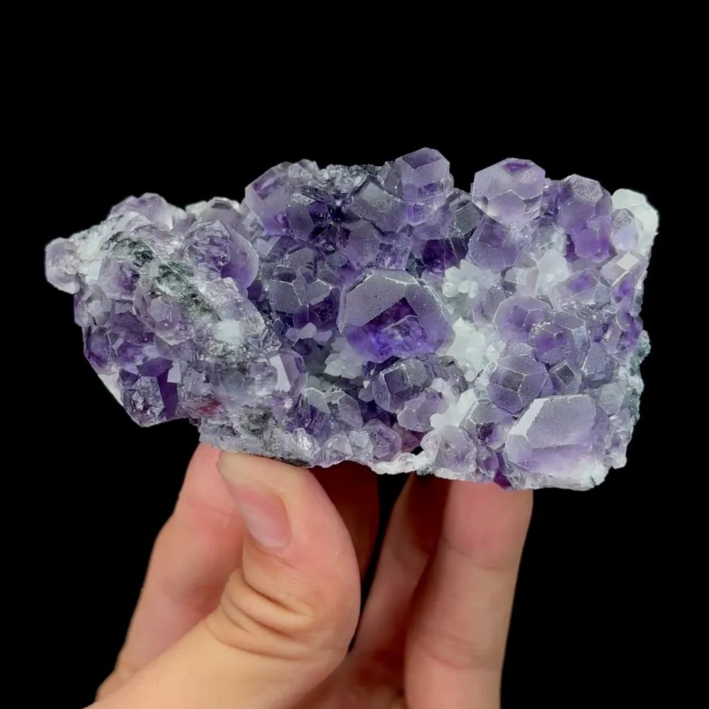 specimen video