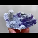 specimen video