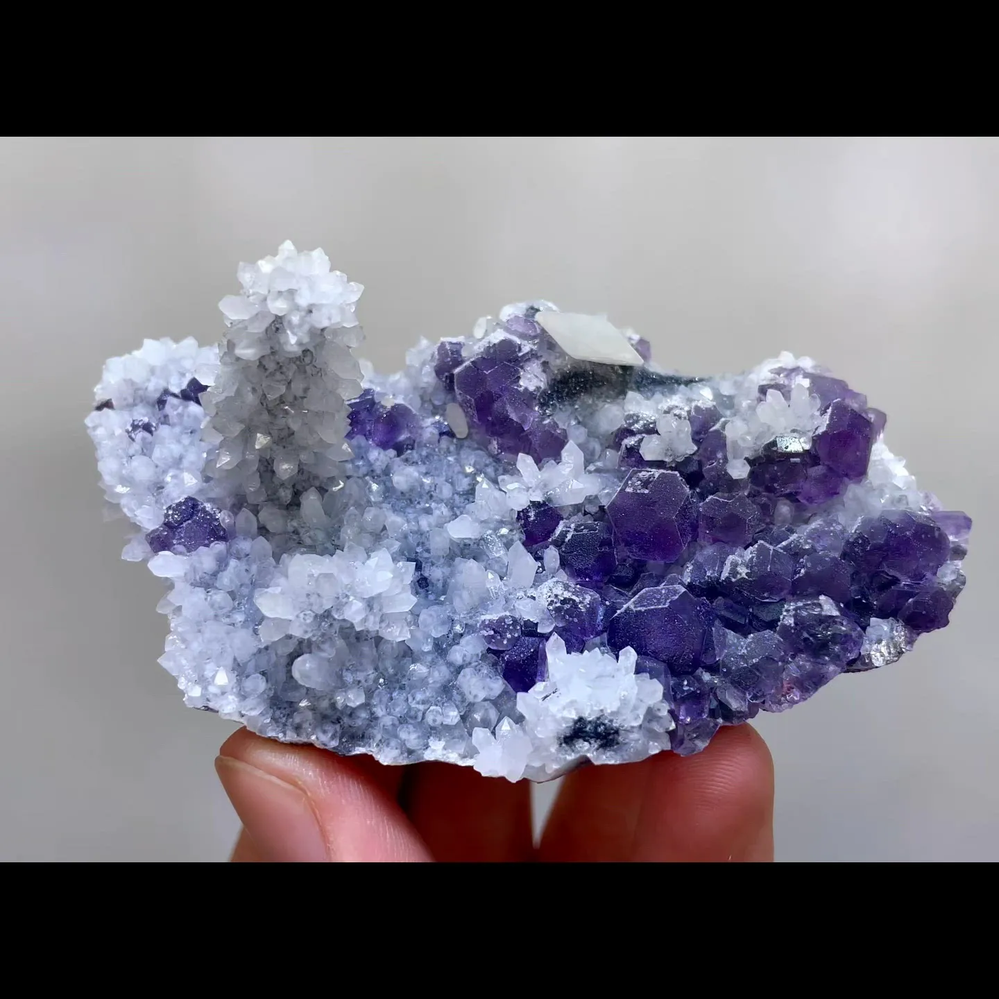 specimen video