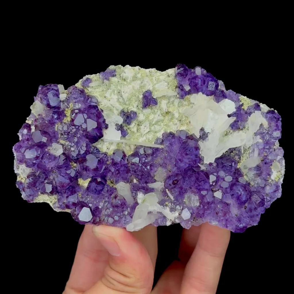 specimen video