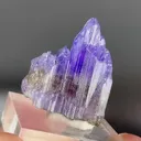 specimen video