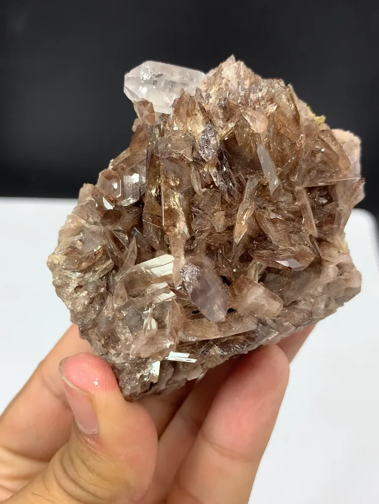 Natural Terminated Axinite Cluster With Quartz, Axinite Specimen, Raw Axinite, Rare Axinite, Axinite Stone, Minerals Specimen From Skardu - image