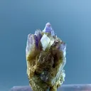 specimen video