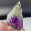 specimen video