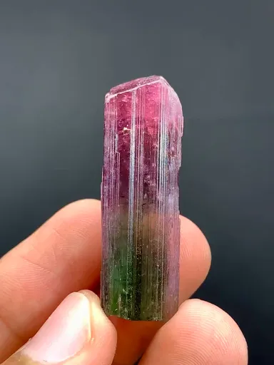 specimen video