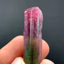 specimen video
